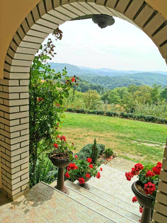 Domacinstvo Sindelic Hotell Ivanjica Eksteriør bilde
